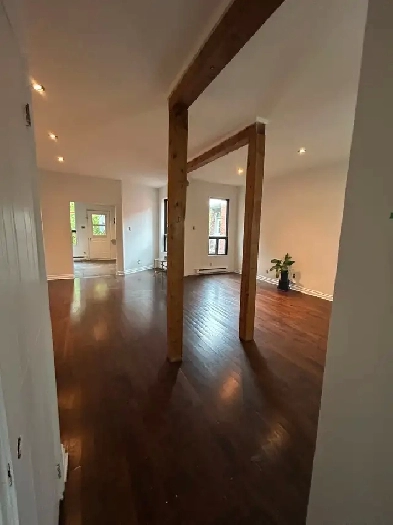 Charmant et spacieux 4 1/2 Plateau - Charming and Spacious 4 1/2 Image# 1