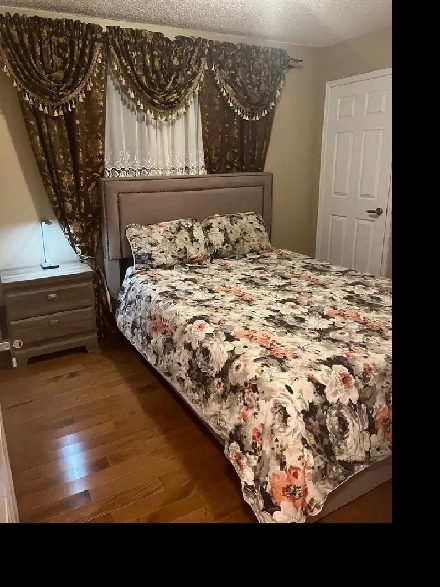 Room for Female at Heart of Mississauga Image# 2