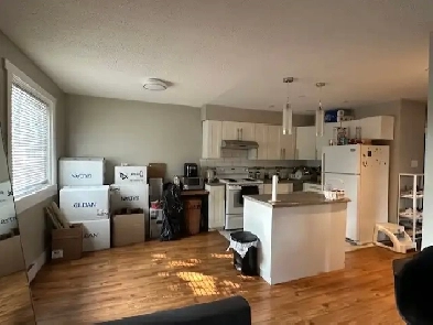 TWO BEDROOM APARTMENT ON MERIVALE ROAD - CENTRAL LOCATION Image# 8