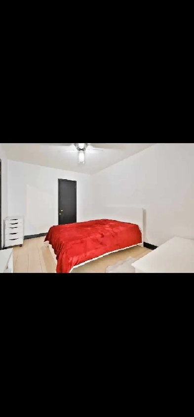 Appartement a loué 3 1/2 Image# 5