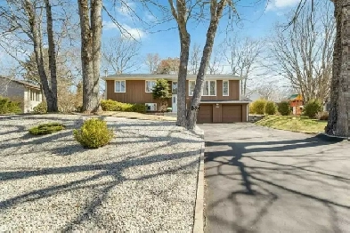 Charming Home with Vintage Flair in Sought-After Glen Allan Image# 1