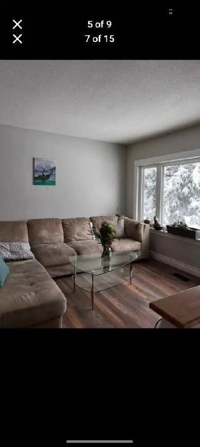 5 bedroom house in great neighborhood Image# 2