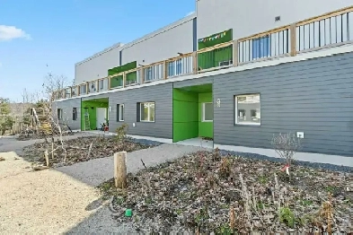 Treehouse Village is Atlantic Canada’s first cohousing community Image# 1