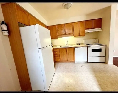 basement room  available in Guelph near University for students Image# 1