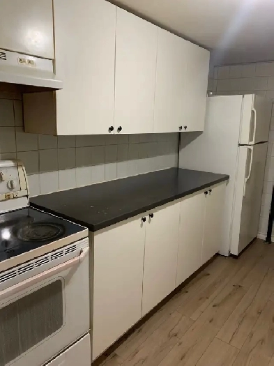 Two bedroom Martin grove Rd and West humber, Etobicoke Image# 3