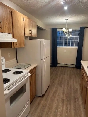 Renovated University Old Strathcona Large 1 bdrm extra storage Image# 8