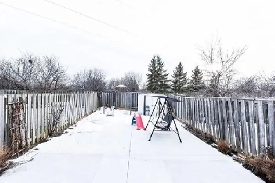 3 br,1.5wr house for rent Sep 1 near Sheridan College,Brampton Image# 9