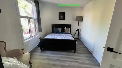 Cozy, bright Bedroom for Female at DuPont and Dufferin Image# 1