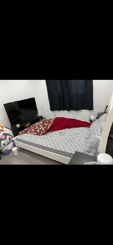 room for rent Image# 5
