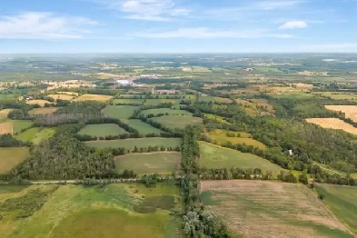 91 Acres just 15 mins east of Peterborough Image# 9
