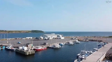 15409 C Cabot Trail - AIR BNB or Personal Oasis opportunity Image# 5