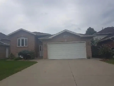 House for Rent in South Windsor Image# 6