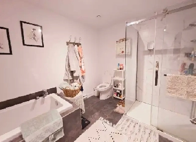 condo à louer grand 4 et demi disponible mi-septembre Image# 5