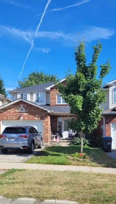 3 upper rooms for rent in shared 3  1 bedroom in Guelph east end Image# 1