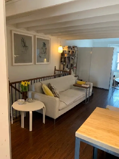 RIVERDALE LOFT FURNISHED (NOT AIRB&B/CONDO) Image# 3