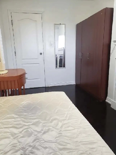 Room for student near York university Image# 2