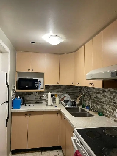 1 bedroom basement apt to share with one other girl. Image# 3