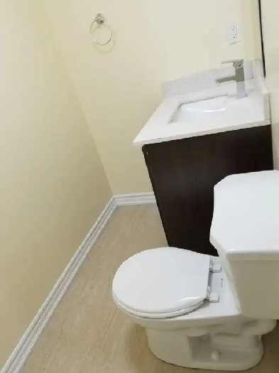 2 Bedroom LEGAL Basement Apartment for rent Image# 9