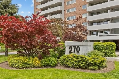 Condo Apartment for Rent Image# 5
