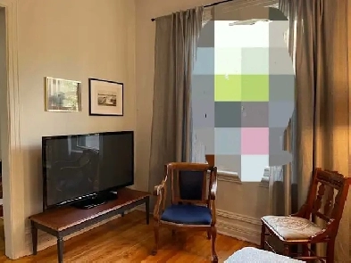 Furnished Room for Rent Image# 2