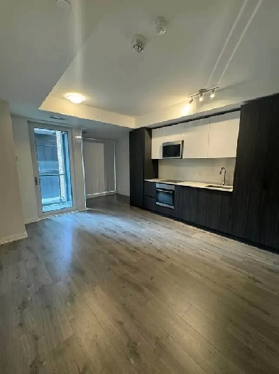 2024 Built 1 Bed plus Den Apartment in Theatre District, Toronto Image# 1