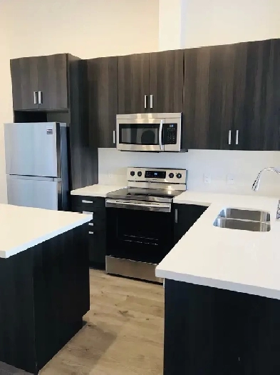 Modern 2-Bedroom Luxury Loft (Brantford) Image# 1