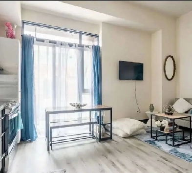 APARTMENT FOR LEASE IN HAMILTON Image# 4