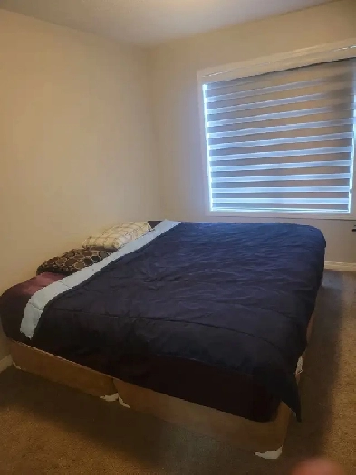 Edmonton SW, Summerside - Room for Rent. Image# 5