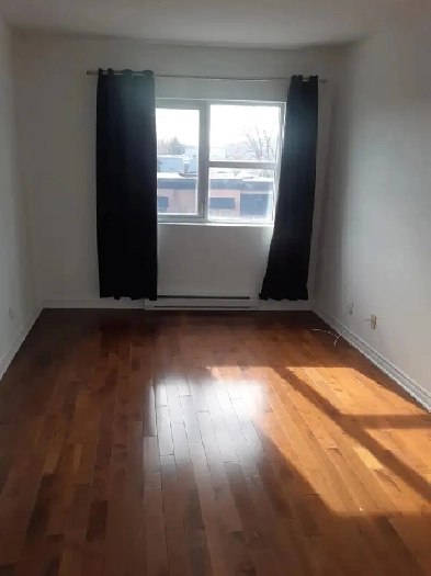 sunny condo for rent Image# 3