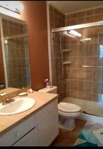Large Room with private bathroom for rent in Sherwood Park Image# 1