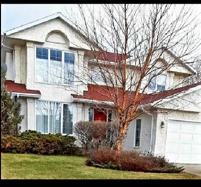 large room with private bathroom for rent in Sherwood Park Image# 1