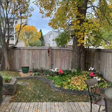 condo for rent Image# 3