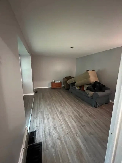 Great 5 bedroom student rental available September 1 Image# 1