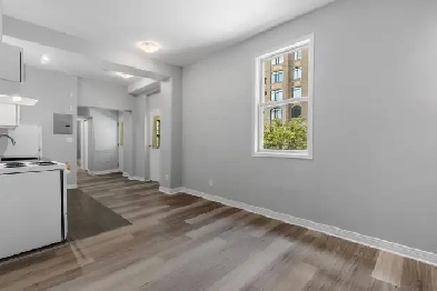 Renovated 1BR apartment in Downtown Ottawa, available NOW Image# 7