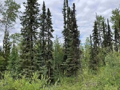 Looking for Property/land Image# 1