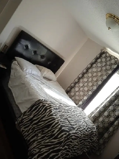 One bedroom for rent Image# 1