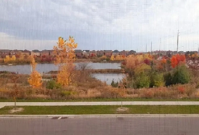 private spacious room in family living house near mount pleasant Image# 1