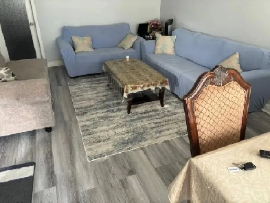 House for Rent in Etobicoke Image# 1