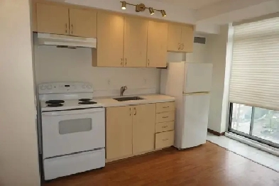 1 Bedroom   1 Bathroom Condo Apartment for Rent in Toronto Image# 2