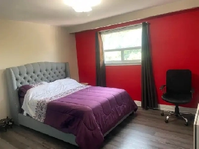 Main Floor Rooms Available Sharing/Private In Malton Sep/Oct Image# 1