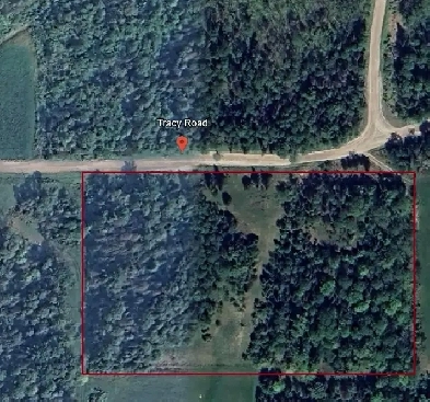 5 ACRE HASKAP BERRY ORCHARD Image# 1
