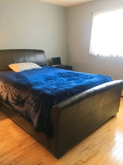 Room for rent in uptown from $750 Image# 3