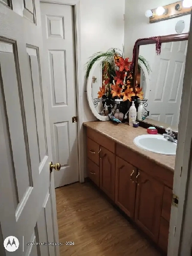 Available September 30. legal 2 Bedroom basement in Huntington Image# 2
