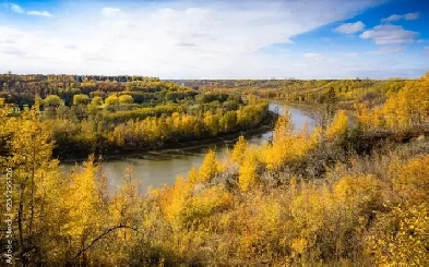 Land for sale Image# 1