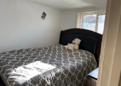 Basement for rent including utilities Image# 4