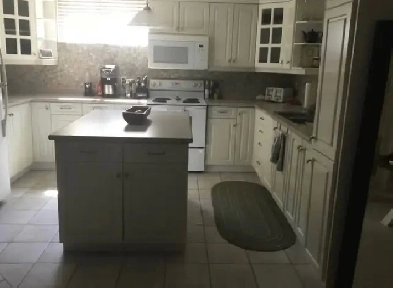 One Bedroom Apartment for Rent Image# 3
