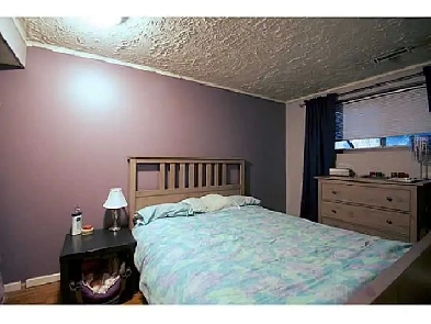 Basement for rent (bi level) 1220 sqft Image# 4