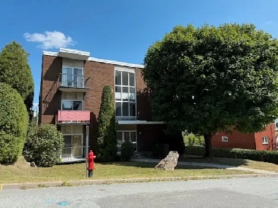 appartement 3 1/2 quartier nord Sherbrooke Image# 7