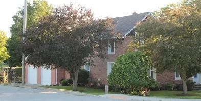 Home for Sale in Drayton Image# 9
