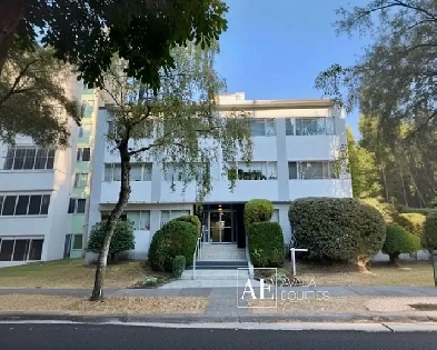 Charming Studio Apartment in the Heart of the West End Image# 2